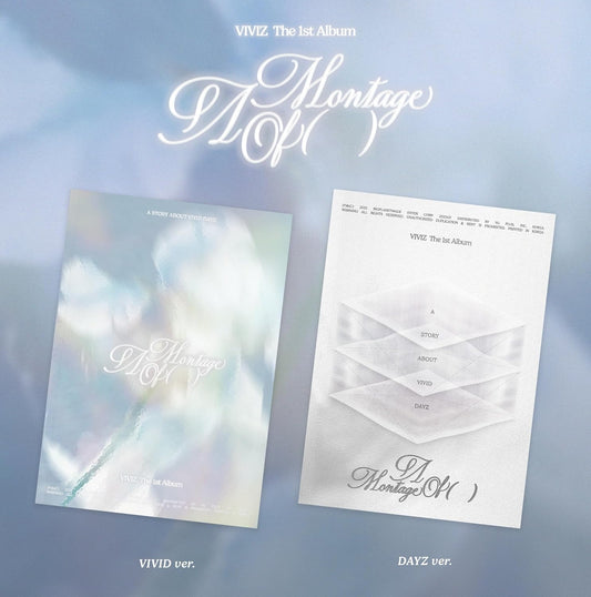 Viviz - A montage of ( ) (CD Nieuw)