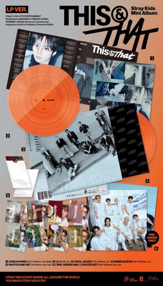 Stray Kids - This & that (LP Nieuw)