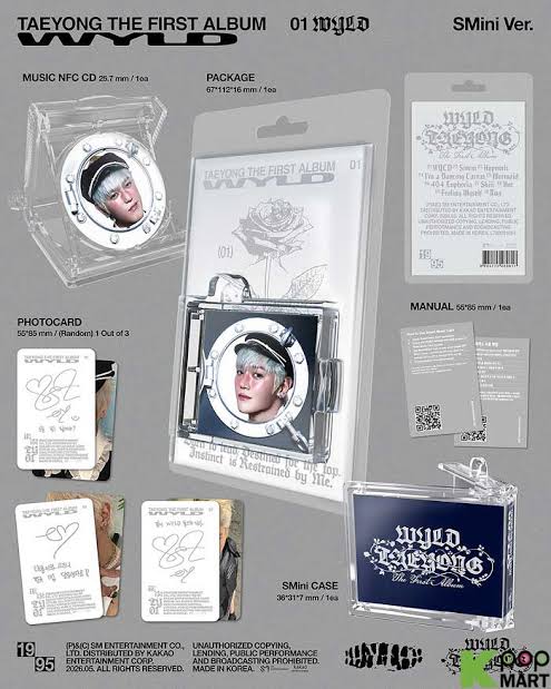 Taeyong (nct) - Wyld (accessoires)